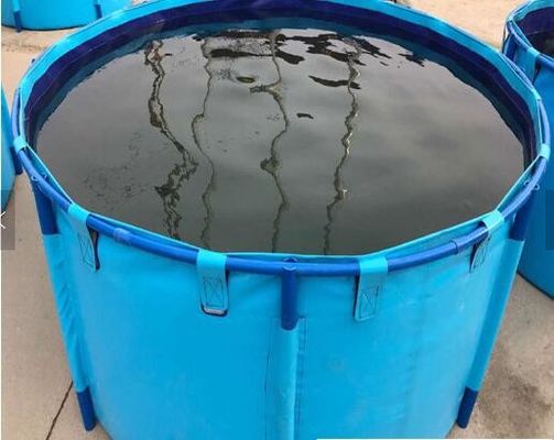 Serbatoio dell'acqua dell'acquario di piscicoltura, cilindro blu sopra il carro armato di pesce pieghevole dello stagno di pesce a terra