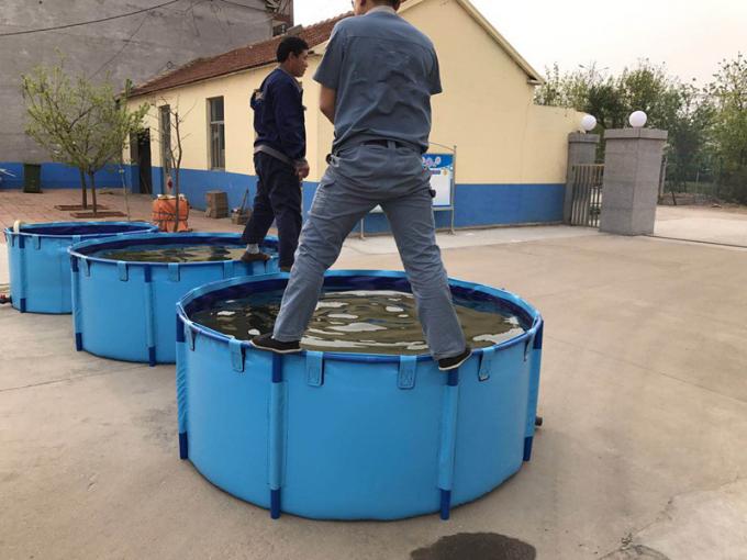 carro armato di pesce della tela cerata di 3000L 1.2MM pieghevole e pieghevole con la struttura del metallo