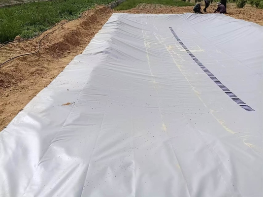 Pellettina in PVC pieghevole per la raccolta delle acque piovane agricole