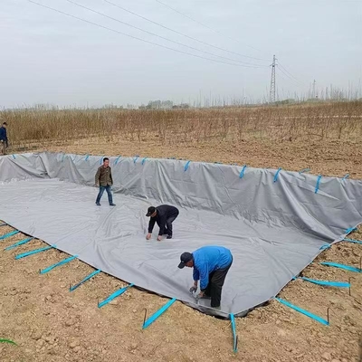 Pellettina in PVC pieghevole per la raccolta delle acque piovane agricole