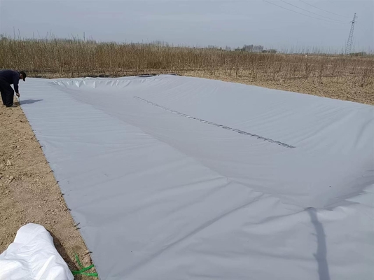 Pellettina in PVC pieghevole per la raccolta delle acque piovane agricole