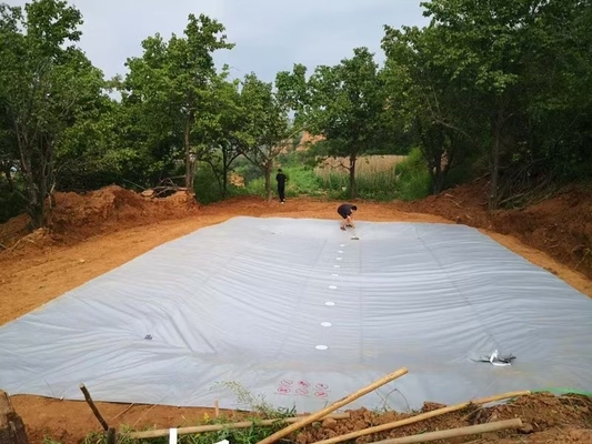 Serbatoio di raccolta dell'acqua piovana in bambusa in PVC ecologico per l'agricoltura