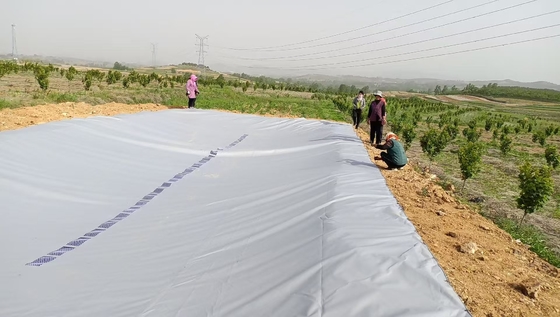 Serbatoio di raccolta dell'acqua piovana in bambusa in PVC ecologico per l'agricoltura