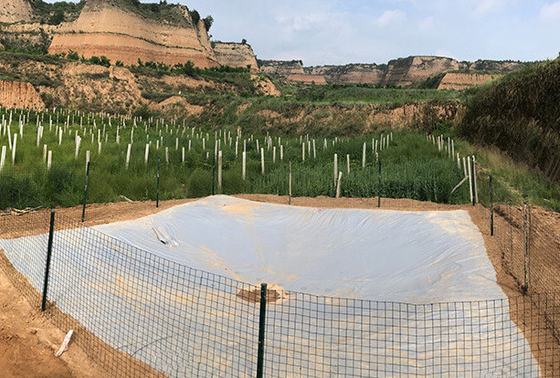 Serbatoio di raccolta dell'acqua piovana in bambusa in PVC ecologico per l'agricoltura