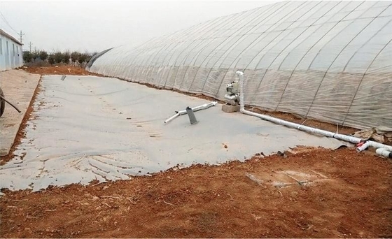 Serra di raccolta dell'acqua piovana in PVC, serbatoio di stoccaggio dell'acqua in telona per l'irrigazione agricola