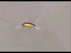 Esca in plastica Nuova Rock Fat per salmone, esca rigida per la pesca in mare