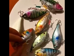 Esca Artificiale in Plastica per Pesca in Mare Laser Bionica