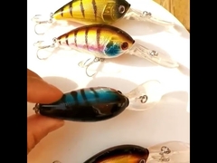 Esca di plastica Esca di pesce marino