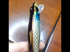 Esca di plastica Pesca in mare a largo lanciare esca dura