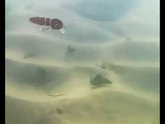 Esplorazione di un'esplorazione di un'esplorazione