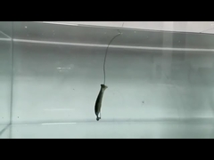 PVC Loach Appello morbido Silicone falso Appello morbido Appello da pesca