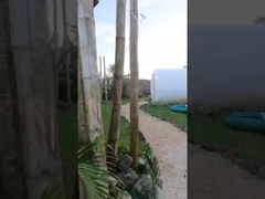 Camera d'albergo Casa all'aperto Tenda gonfiabile a bolle